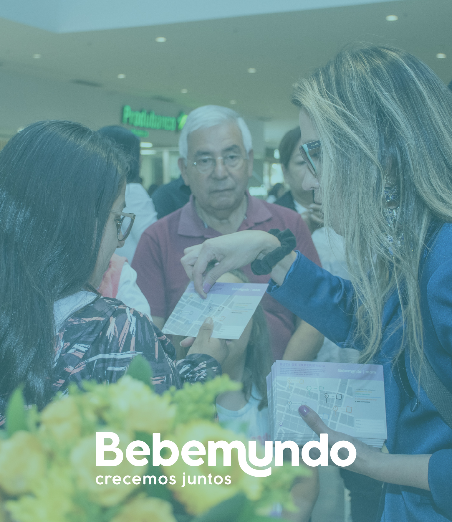 Caso Bebemundo